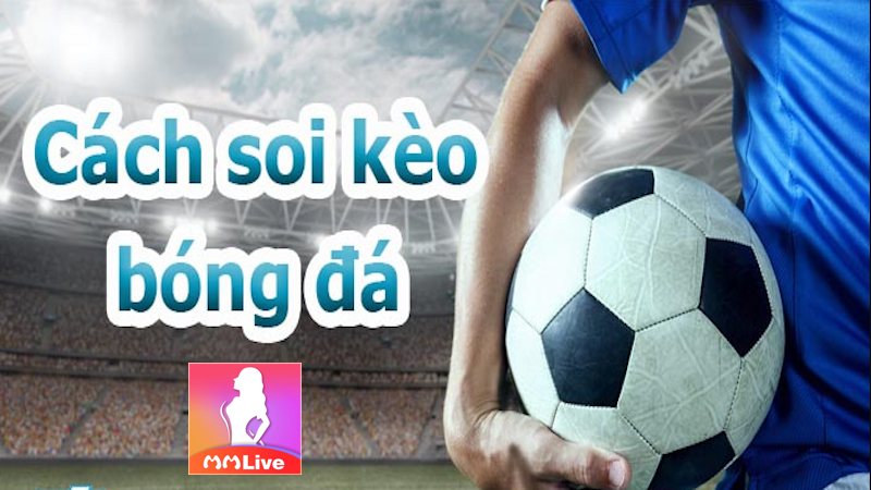 bảng xếp hạng