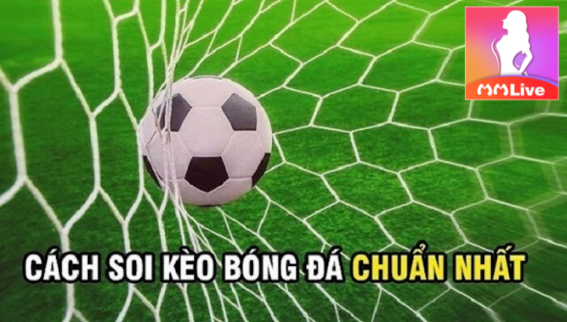 Soi kèo bóng đá