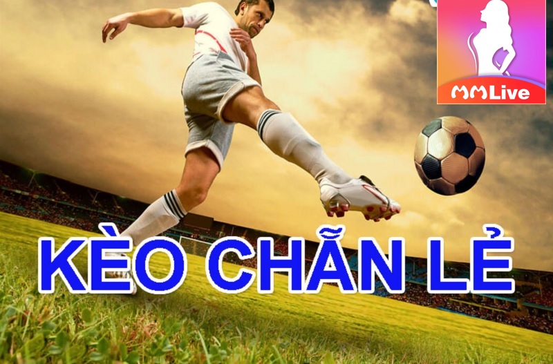 địa chỉ cá cược