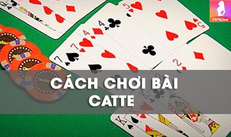 Luật chơi