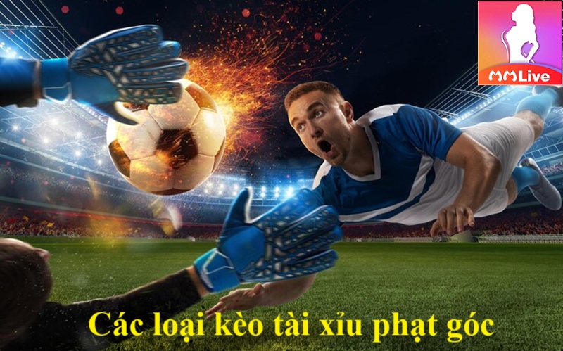 các loại kèo tài xỉu phạt góc